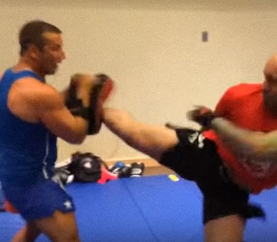 Joe Rogan whips middle kicks into the Thai pads