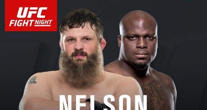 Roy Nelson wants title shot with win over Lewis