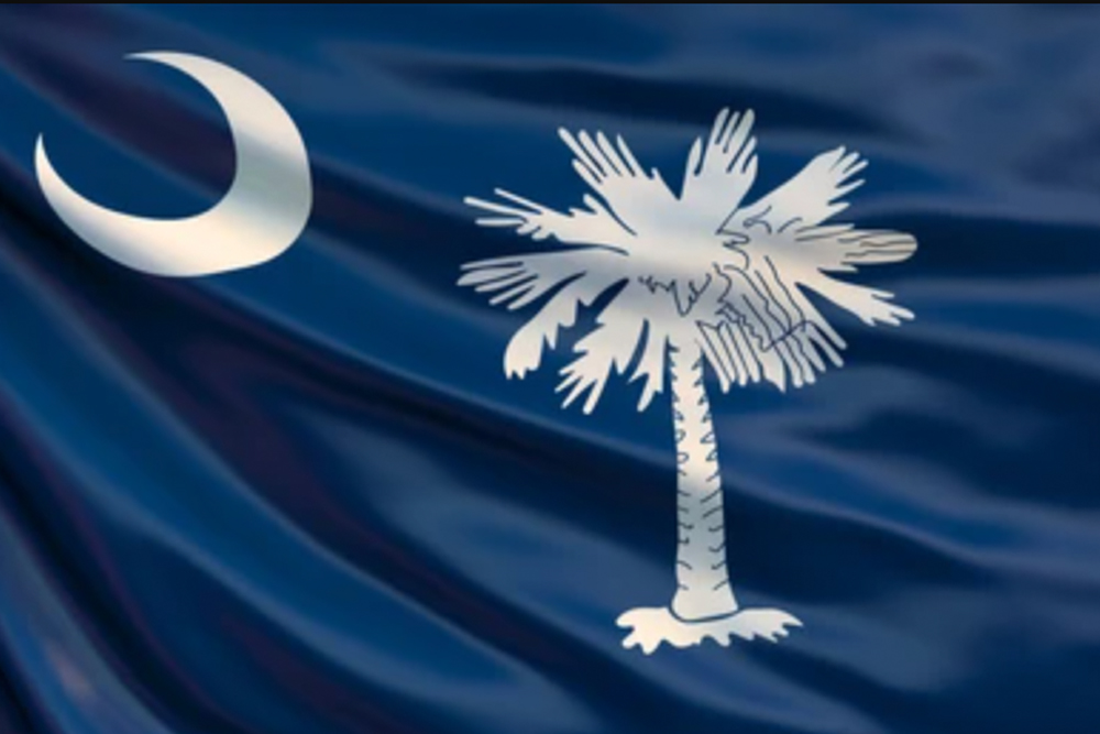 South Carolina State Athletic Commission shares CTE, concussion info with fight community