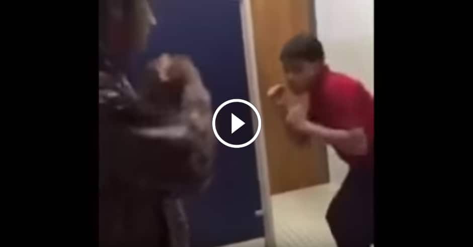 School bathroom fight between boxer and wrestler