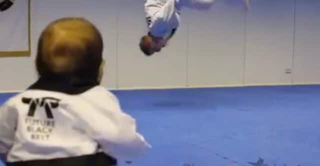 Ginger Ninja Trickster, for Sophie