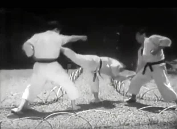 Shotokan for self defense