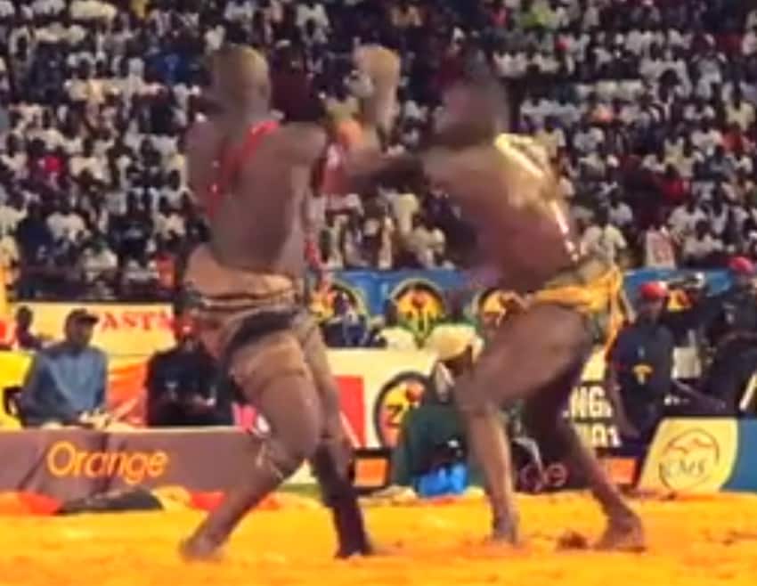 How they wrestle in the African nation of Sénégal!