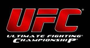 Sports decision makers interest up in UFC down in WWE