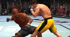 Success of UFC game making analysts bullish on THQ