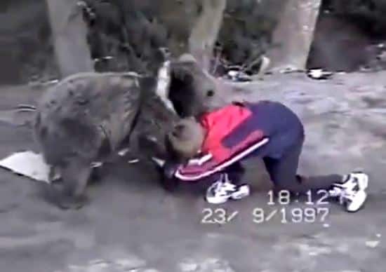 Nurmagomedov wrestling with a bear!