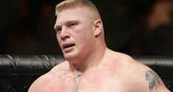 UFC Heavyweight Division: Land of the Giants