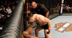 UFC plan for commission-less appeals