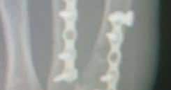 Urijah’s T-1000 hand
