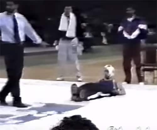 Vitali Klitschko KO’d in kickboxing bout