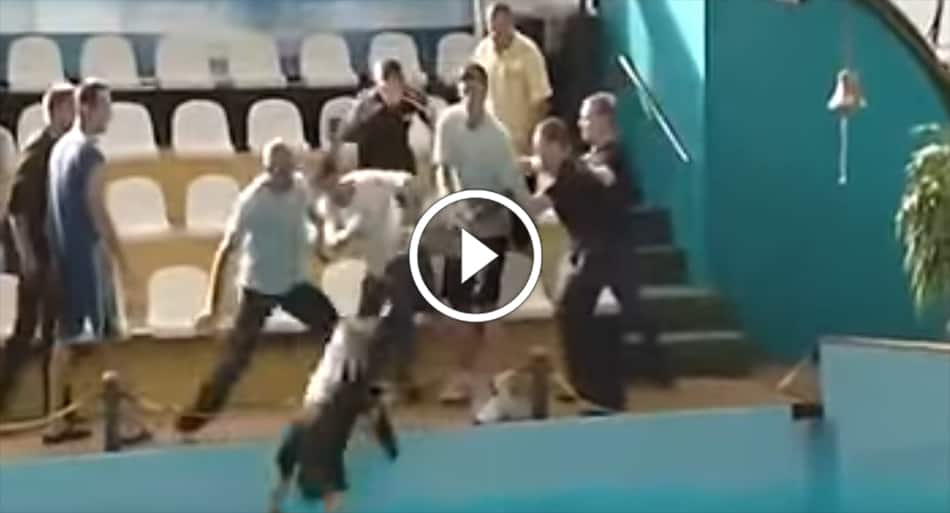 Russian security guards lose multiple times at the swimming pool
