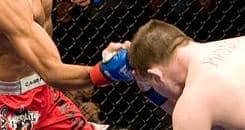 WEC 41 official fighter salaries