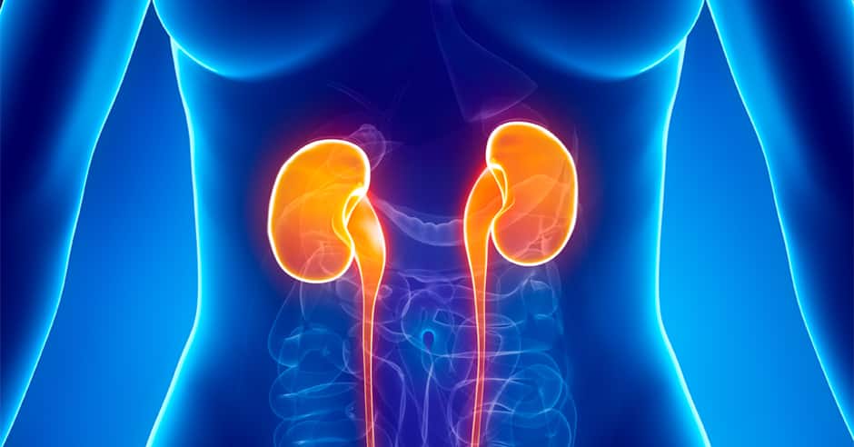 HBO’s Real Sports: The fight before the fight