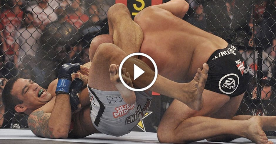 The techniques of Fabricio Werdum