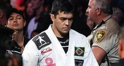 Your Kung Fu Is Good Here